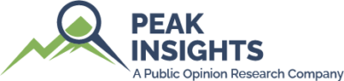 peak-insights_logo--full