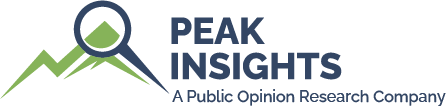 peak-insights_logo--full